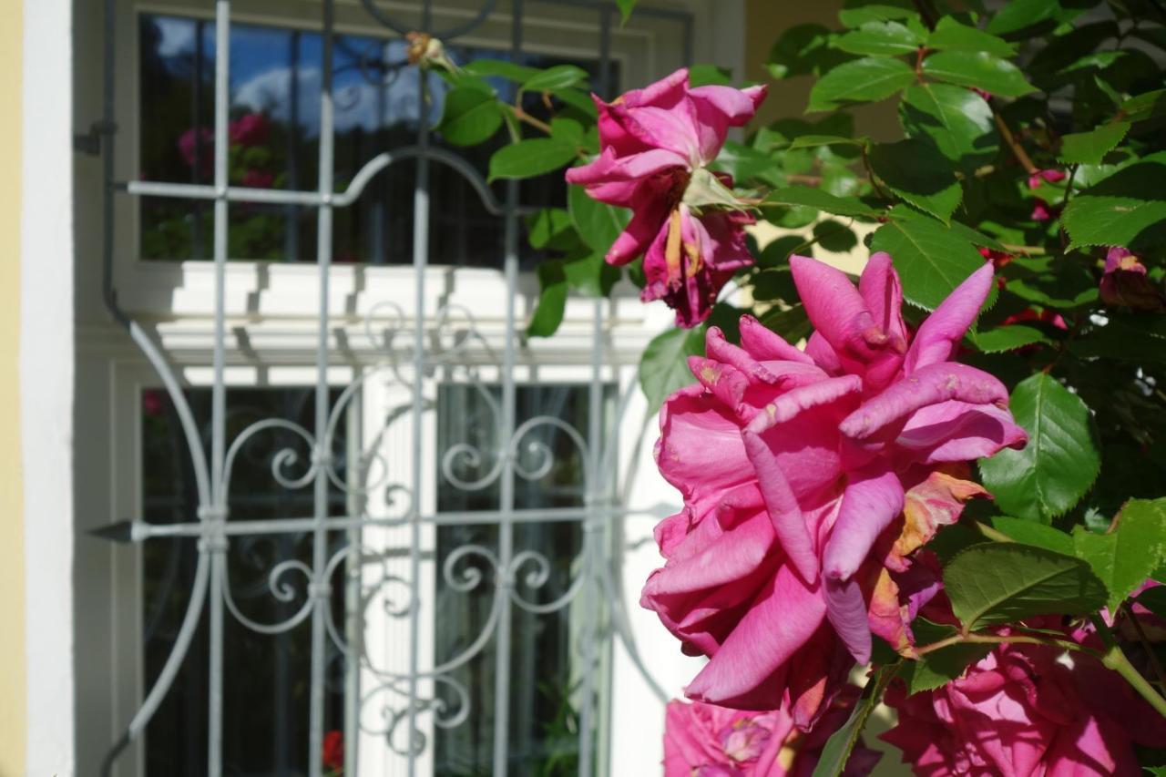 Villa Sonnenstrahl Mariánské Lázně Εξωτερικό φωτογραφία