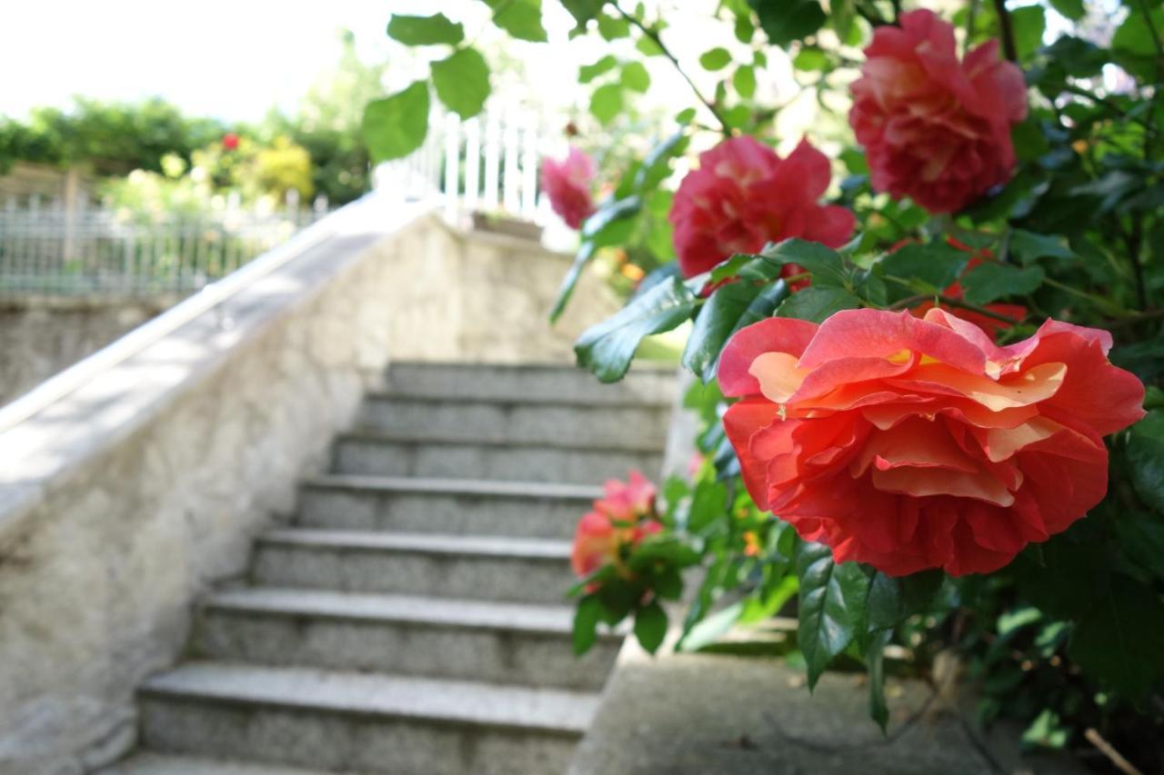 Villa Sonnenstrahl Mariánské Lázně Εξωτερικό φωτογραφία