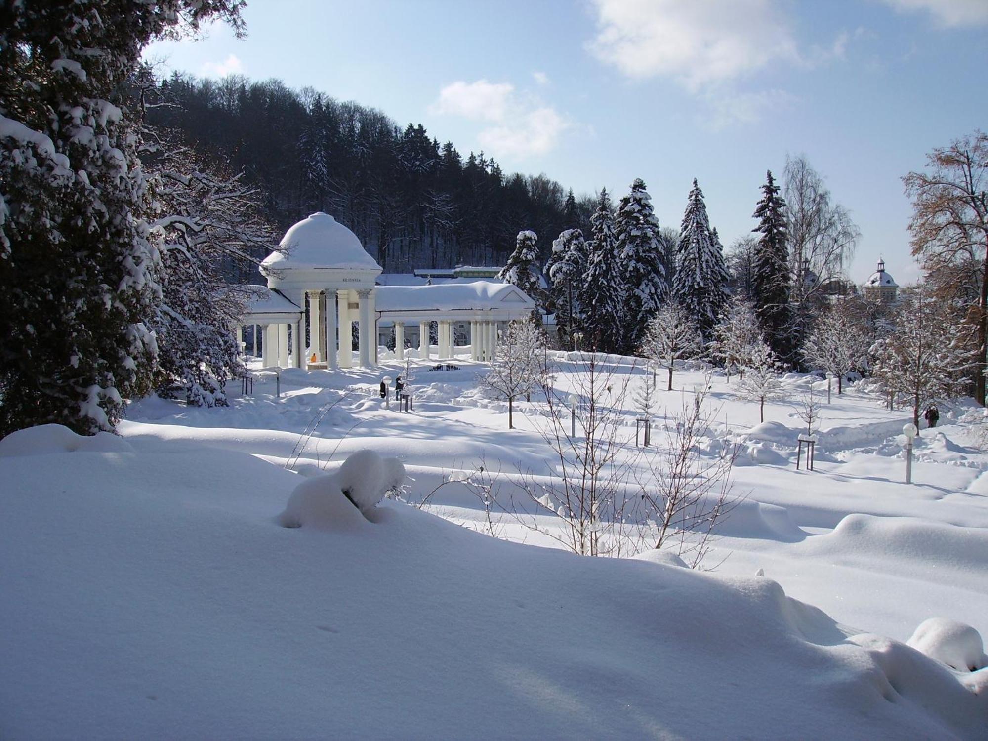 Villa Sonnenstrahl Mariánské Lázně Εξωτερικό φωτογραφία
